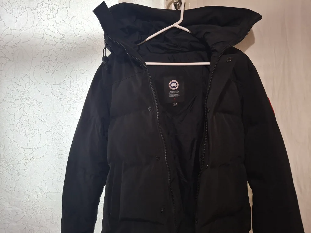 canada goose thumbnail