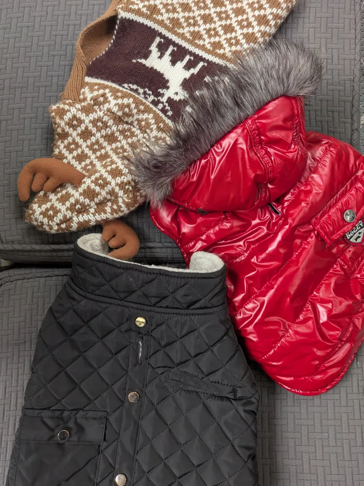 THREE Small dog coats and sweater, SMALL image indicator(2)