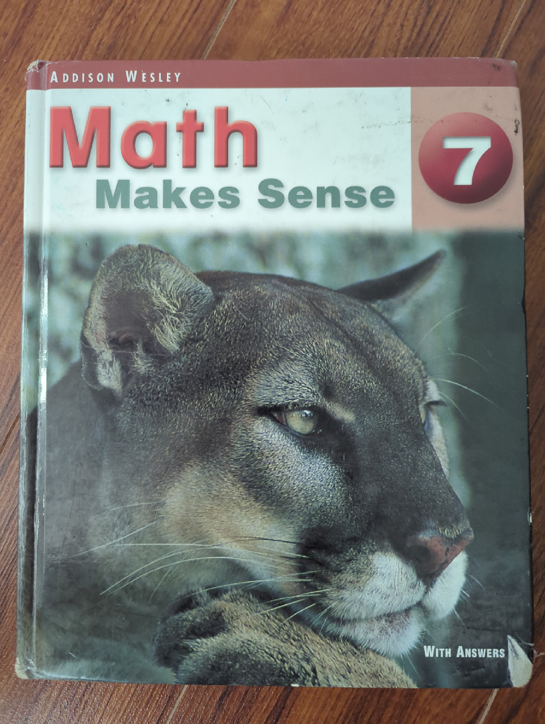 Addison Wesley Math Makes Sense 7