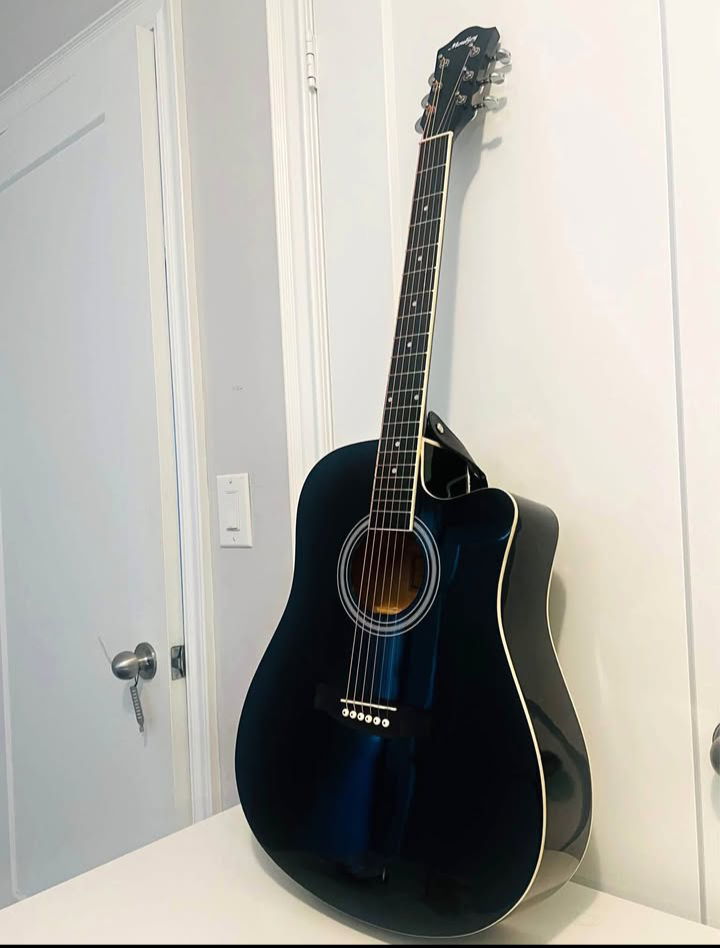 Harley Benton Acoustic Guitar