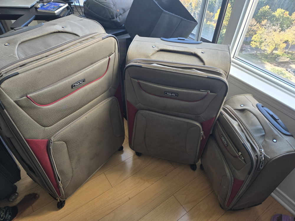 Truly Pro 3-Piece Luggage Set