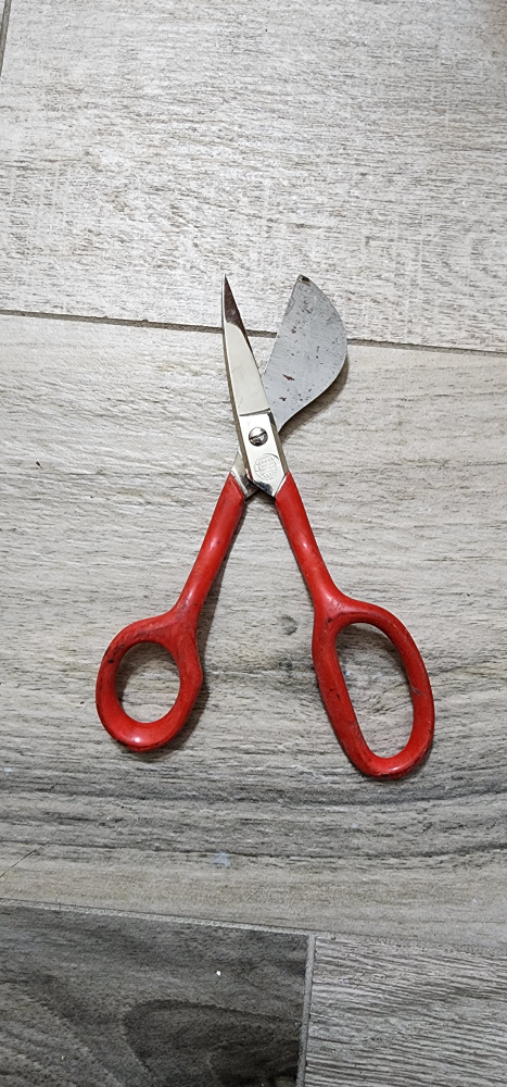 Red Handle Carpet Scissors 🧡
