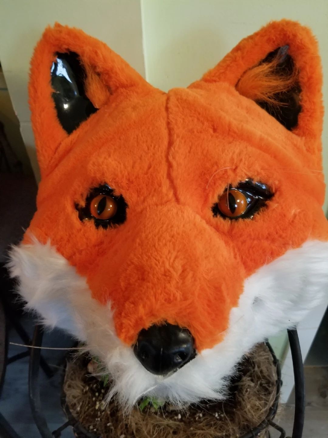 Adult Sized Furry Foxy Head