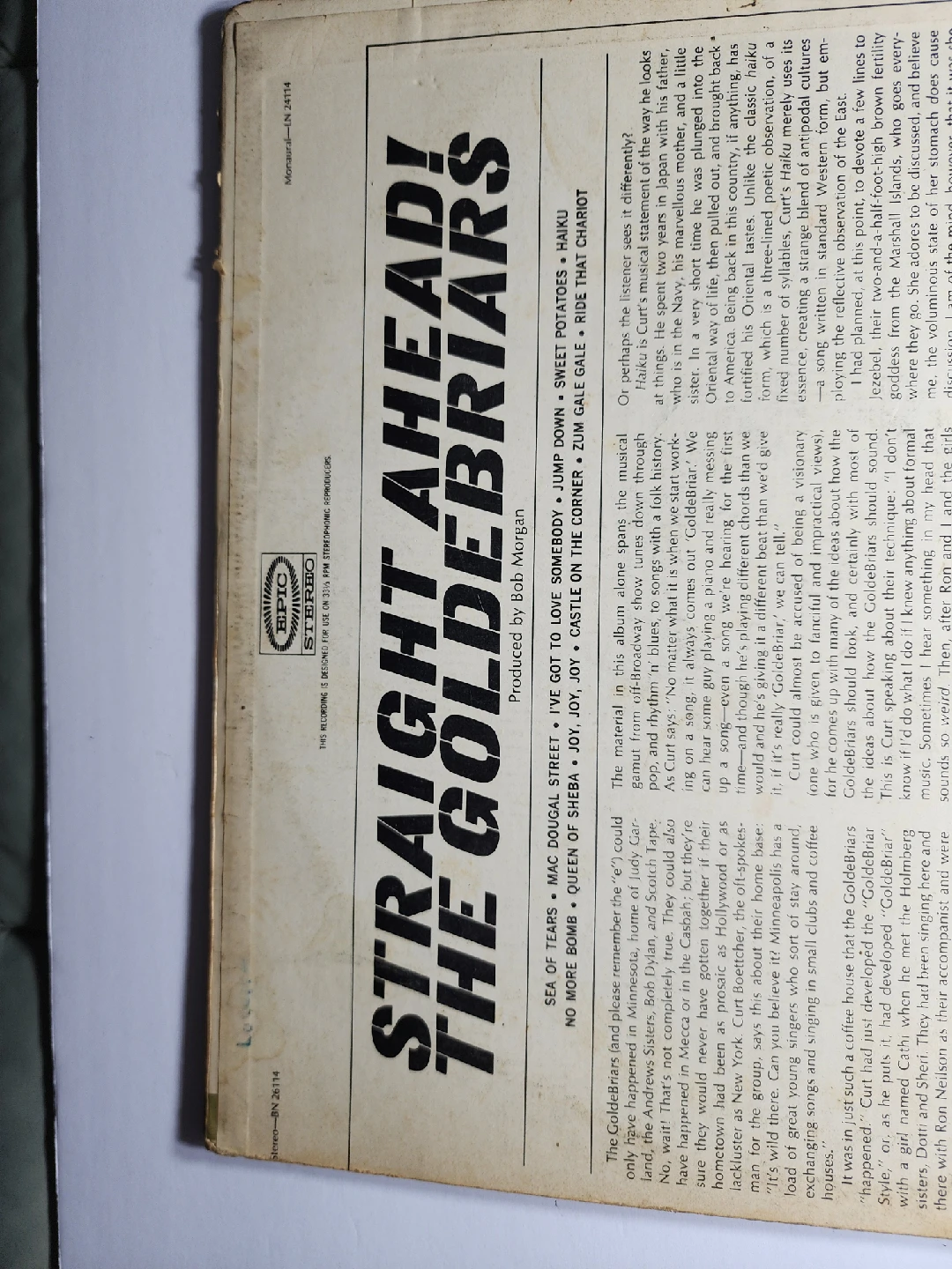 The GoldeBriars - Straight Ahead! Vinyl Record - photo 3