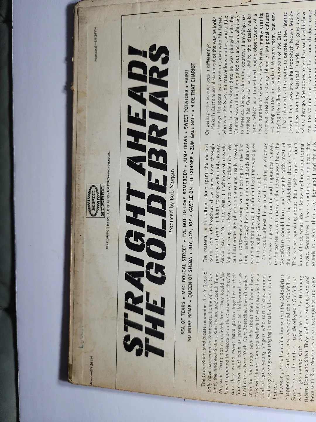 The GoldeBriars - Straight Ahead! Vinyl Record image indicator(3)