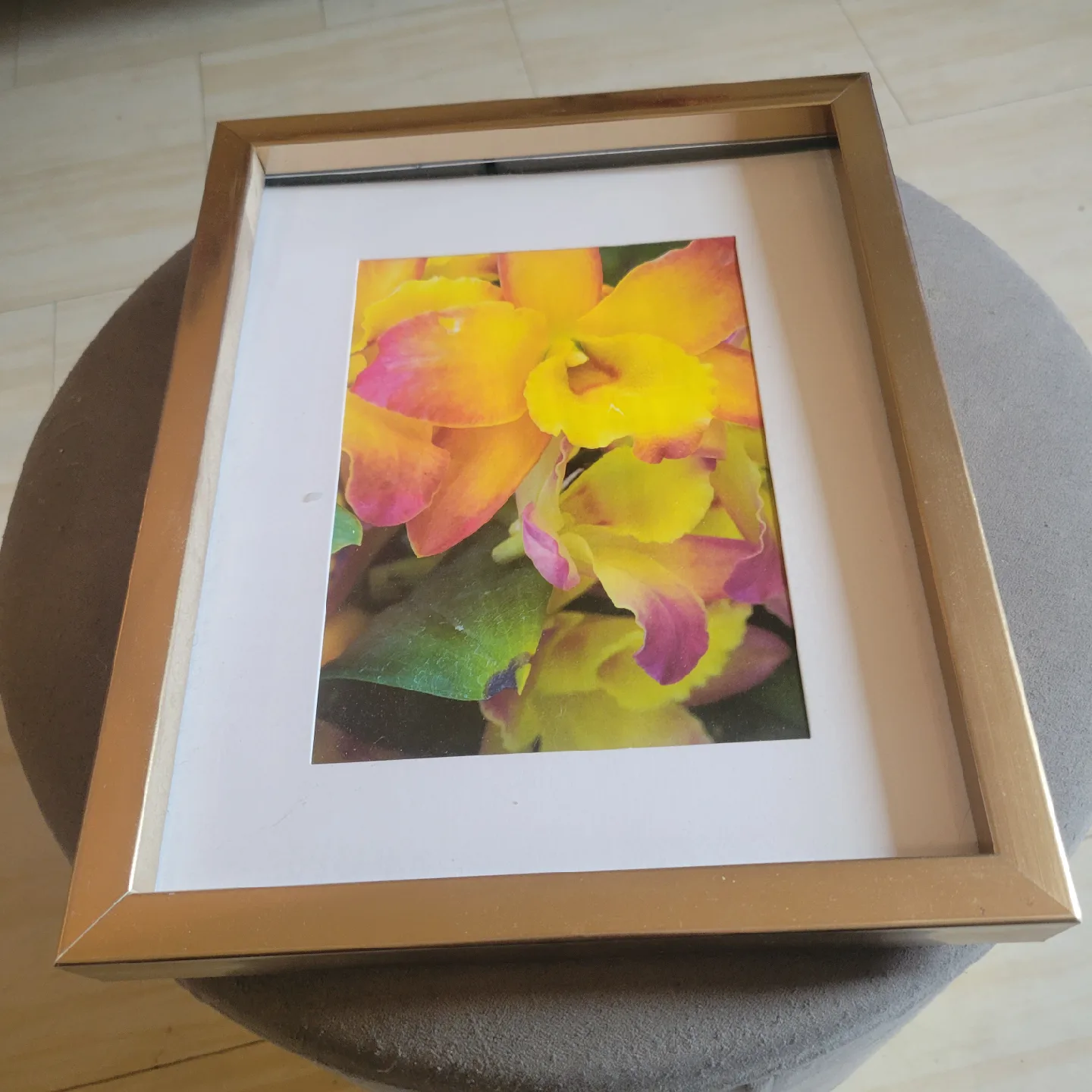 Framed Floral Print thumbnail