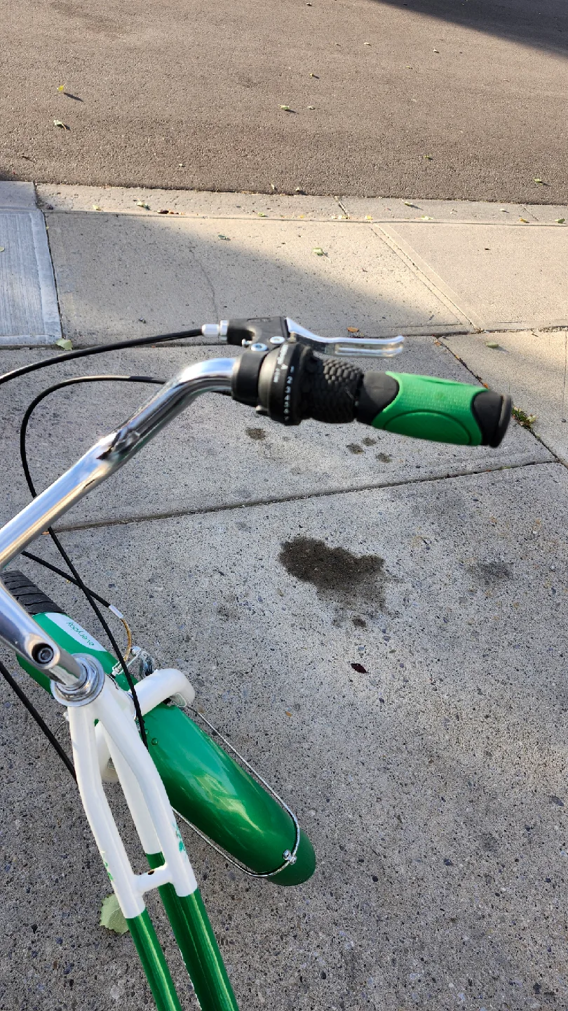 Green & White Everyday Shine 24 Cruiser Bike image indicator(3)