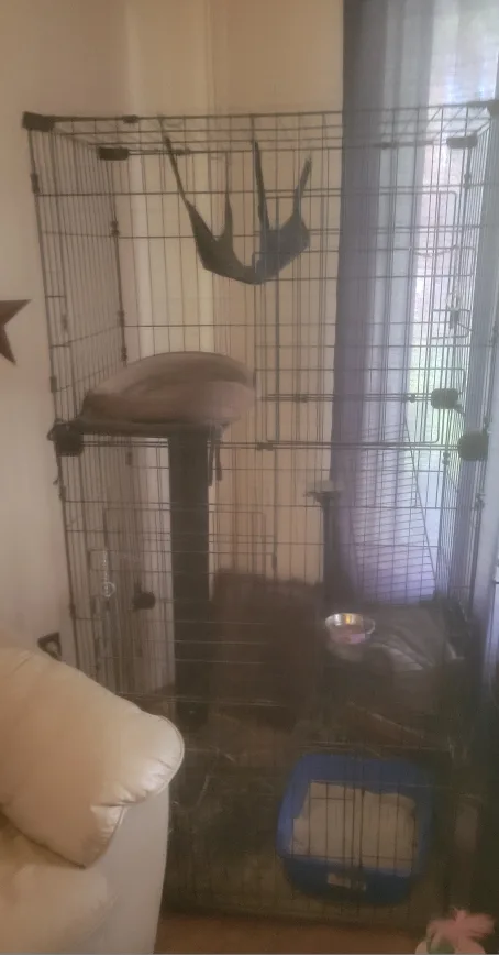 Large Cat Cage/Playpen image indicator(3)