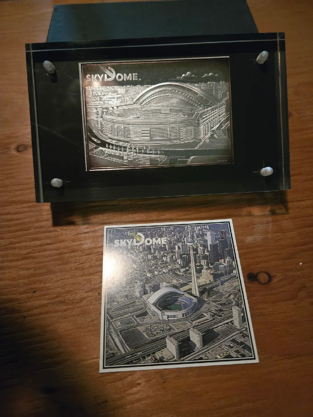 Catch The Blue Jays Fever! When It All Began! image indicator(2)