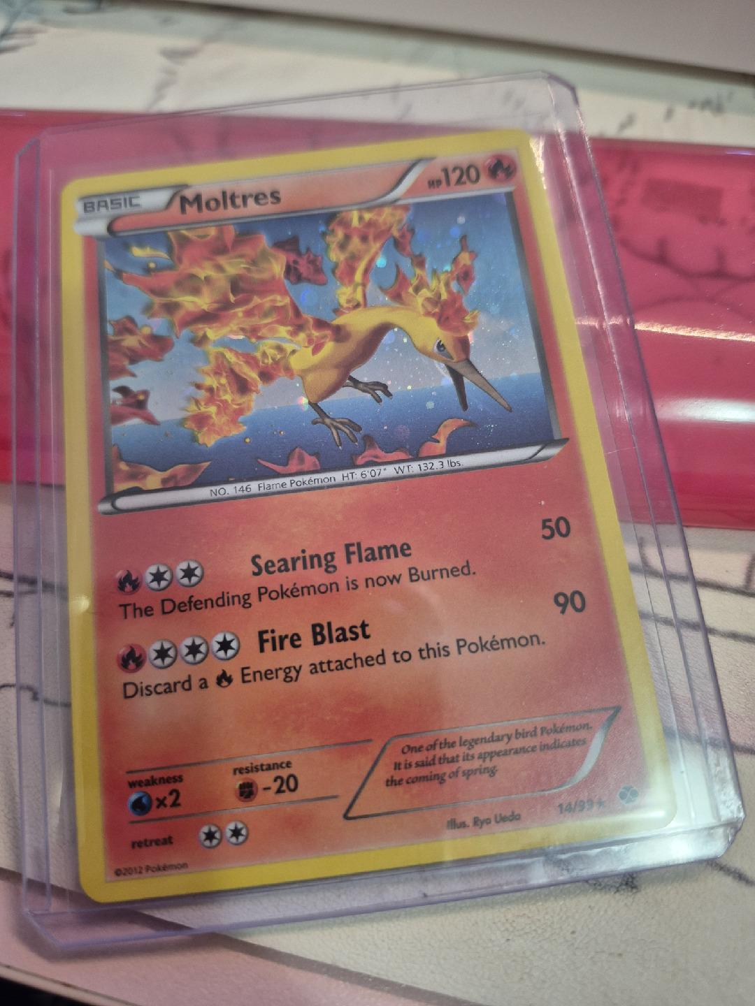 holo moltres 14/99 pokemon card