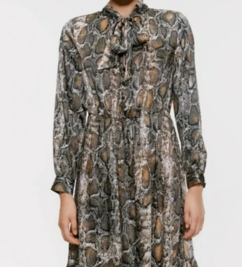 Zara Snake Print Dress
