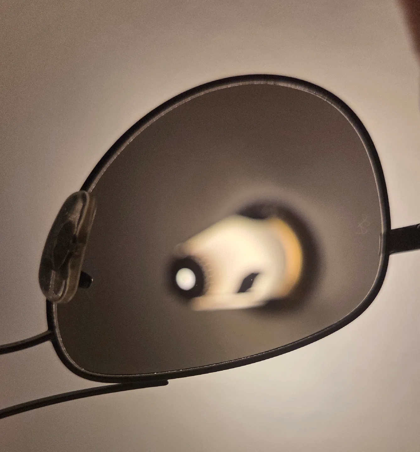 Ray-Ban Sunglasses with Case image indicator(3)