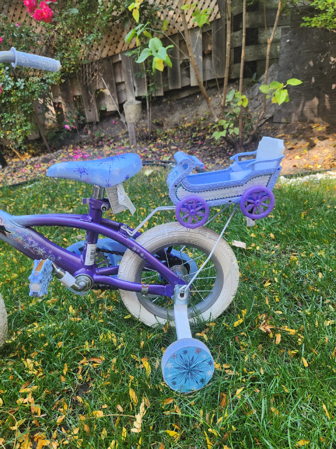 bicycle with frozen theme image indicator(3)