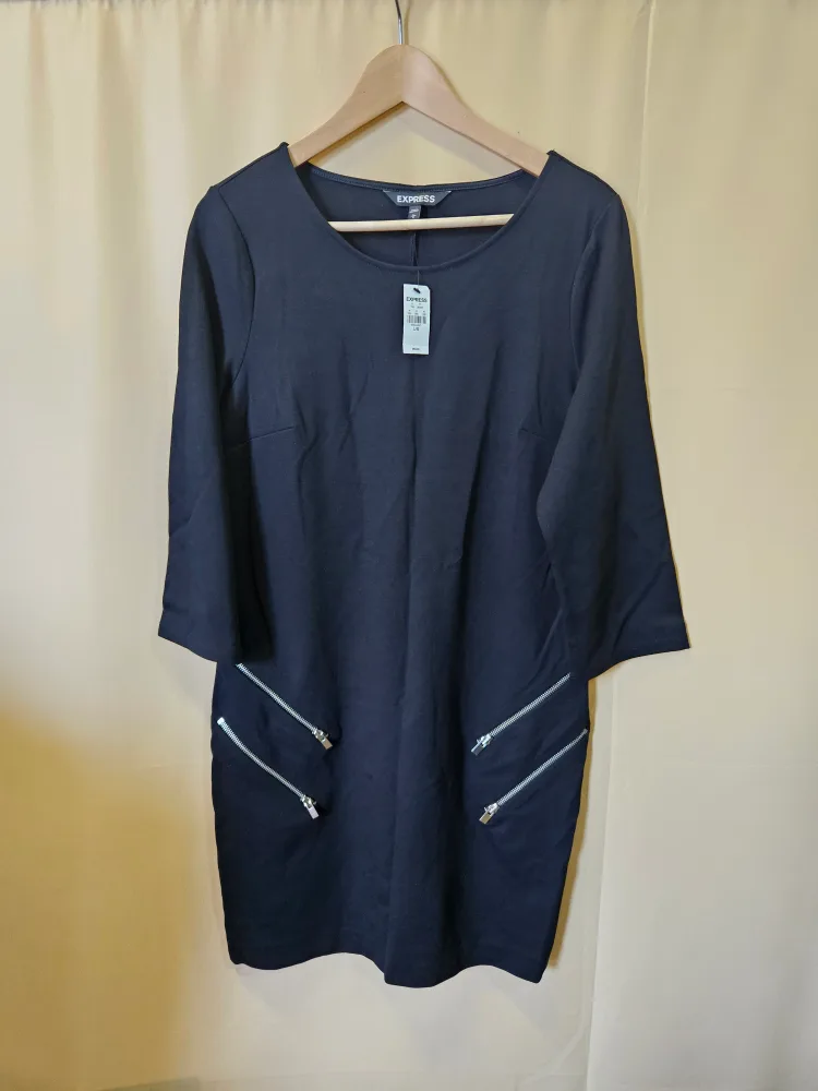 Express Black Zipper Detail Dress Large image indicator(2)