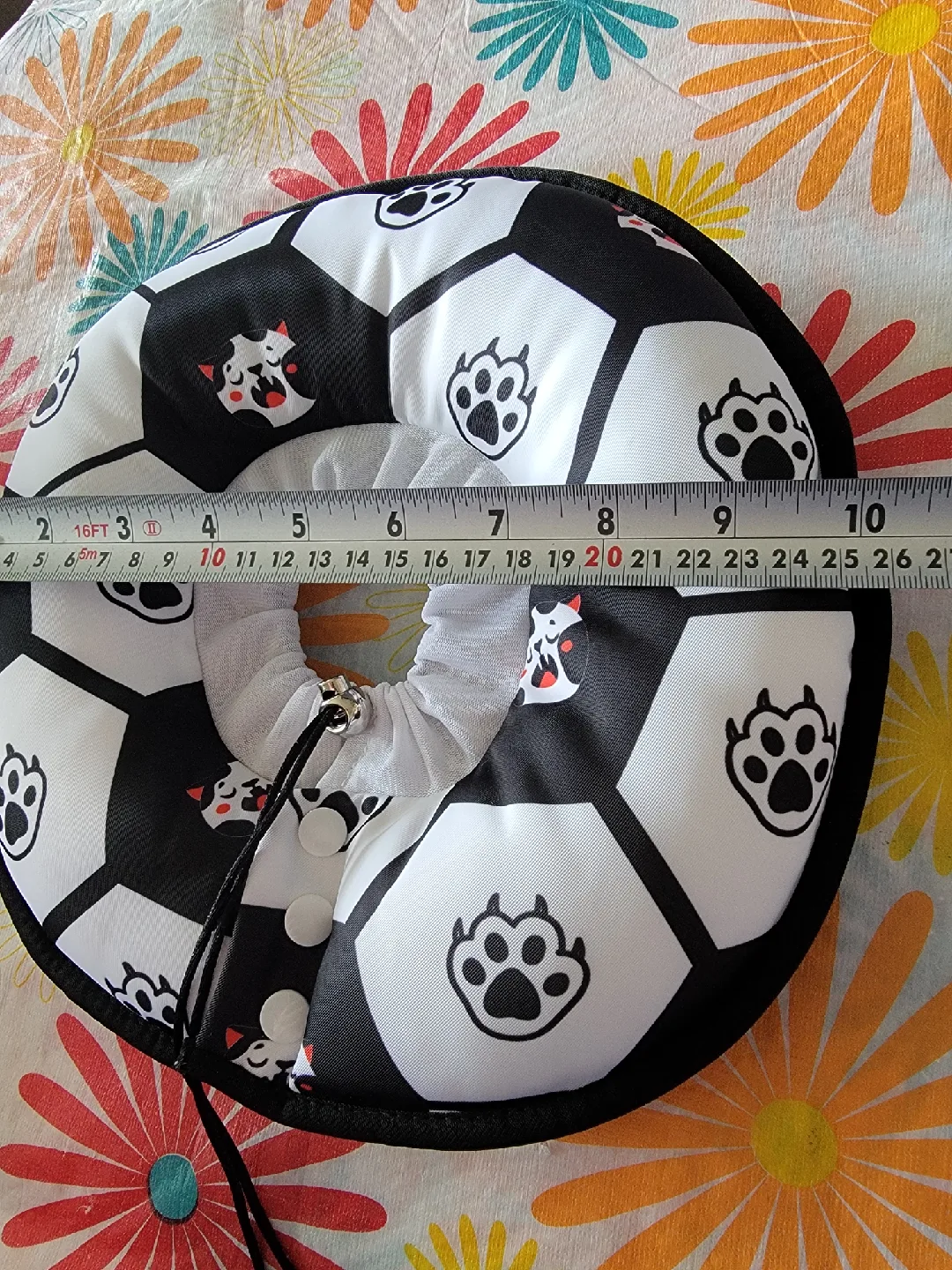 Pet Recovery Collar - Size Medium image indicator(4)