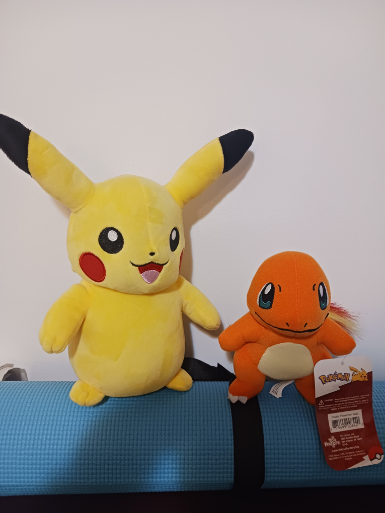 Pikachu & Charmander Pokémon Plush Toys