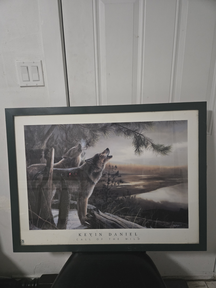 Kevin Daniel Call of the Wild Framed Print