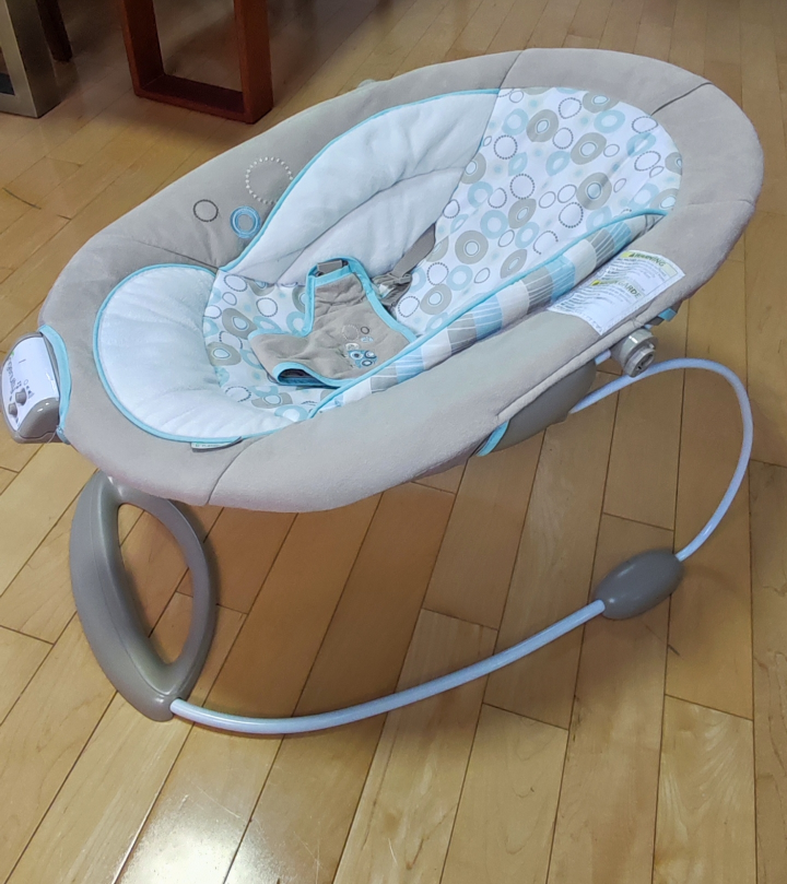 Ingenuity Baby Bouncer
