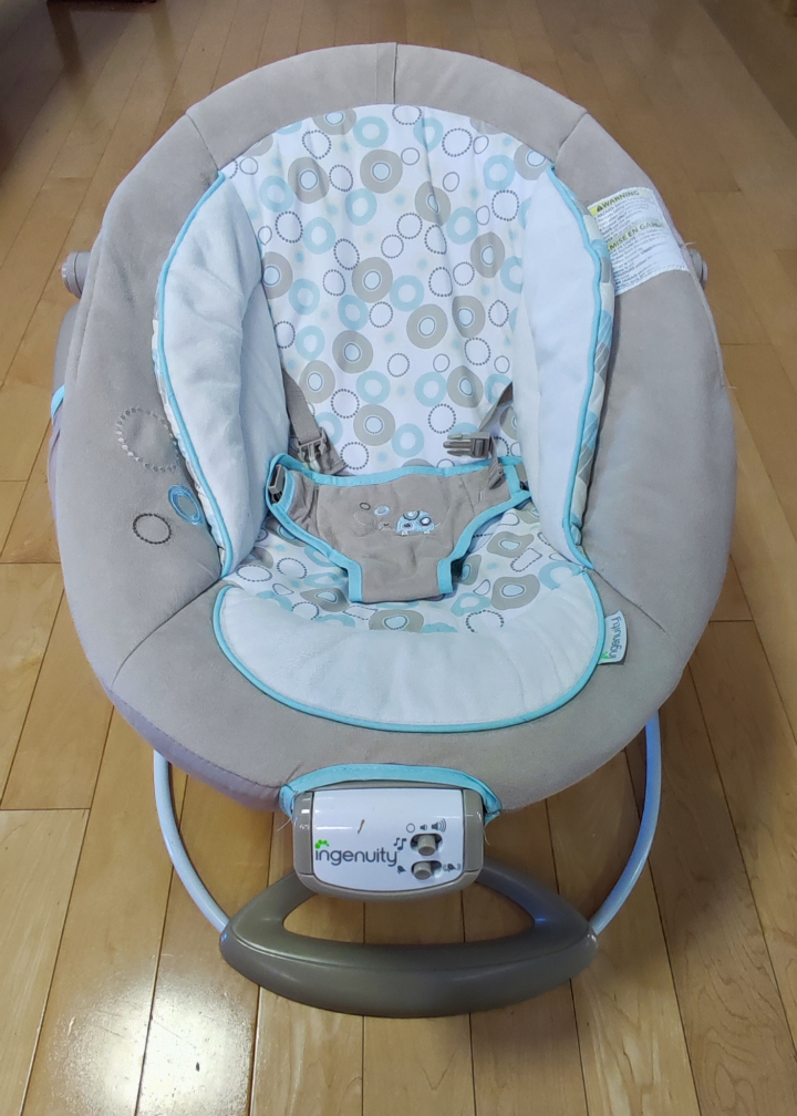 Ingenuity Baby Bouncer - photo 2
