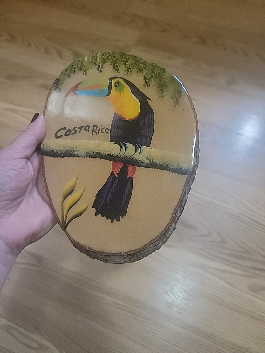 Costa Rica Toucan Wood Slice Art - photo 2