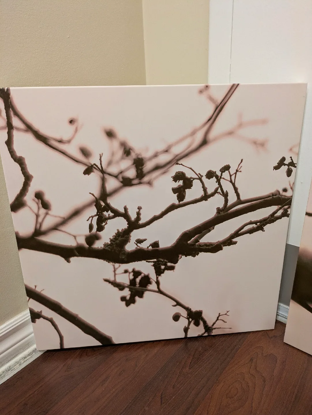 Set of 3 mounted prints image indicator(2)