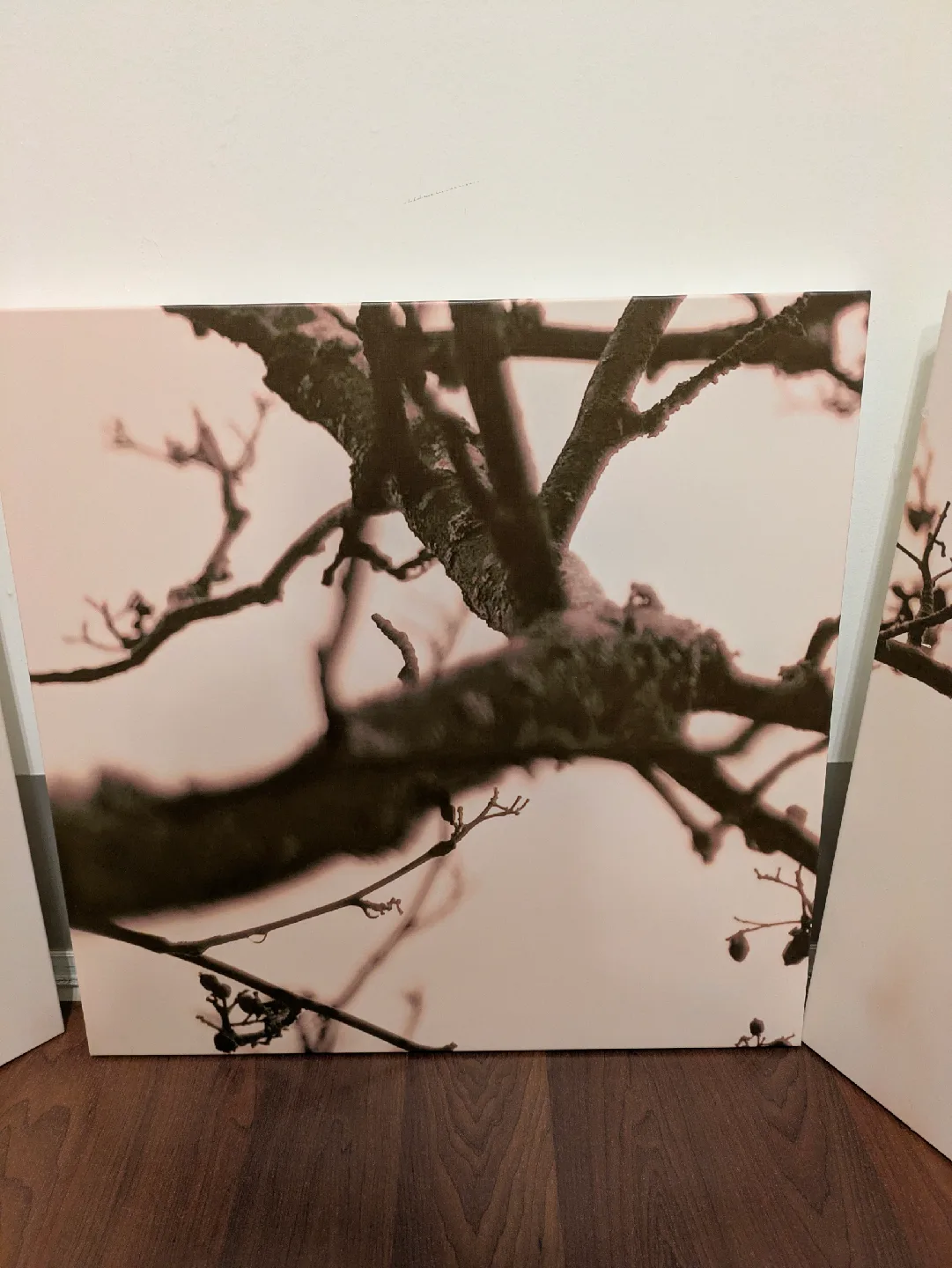 Set of 3 mounted prints image indicator(3)