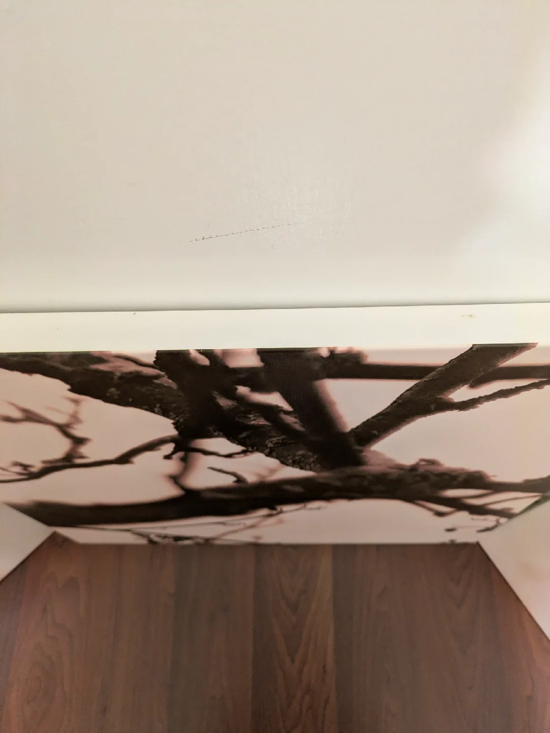 Set of 3 mounted prints image indicator(5)