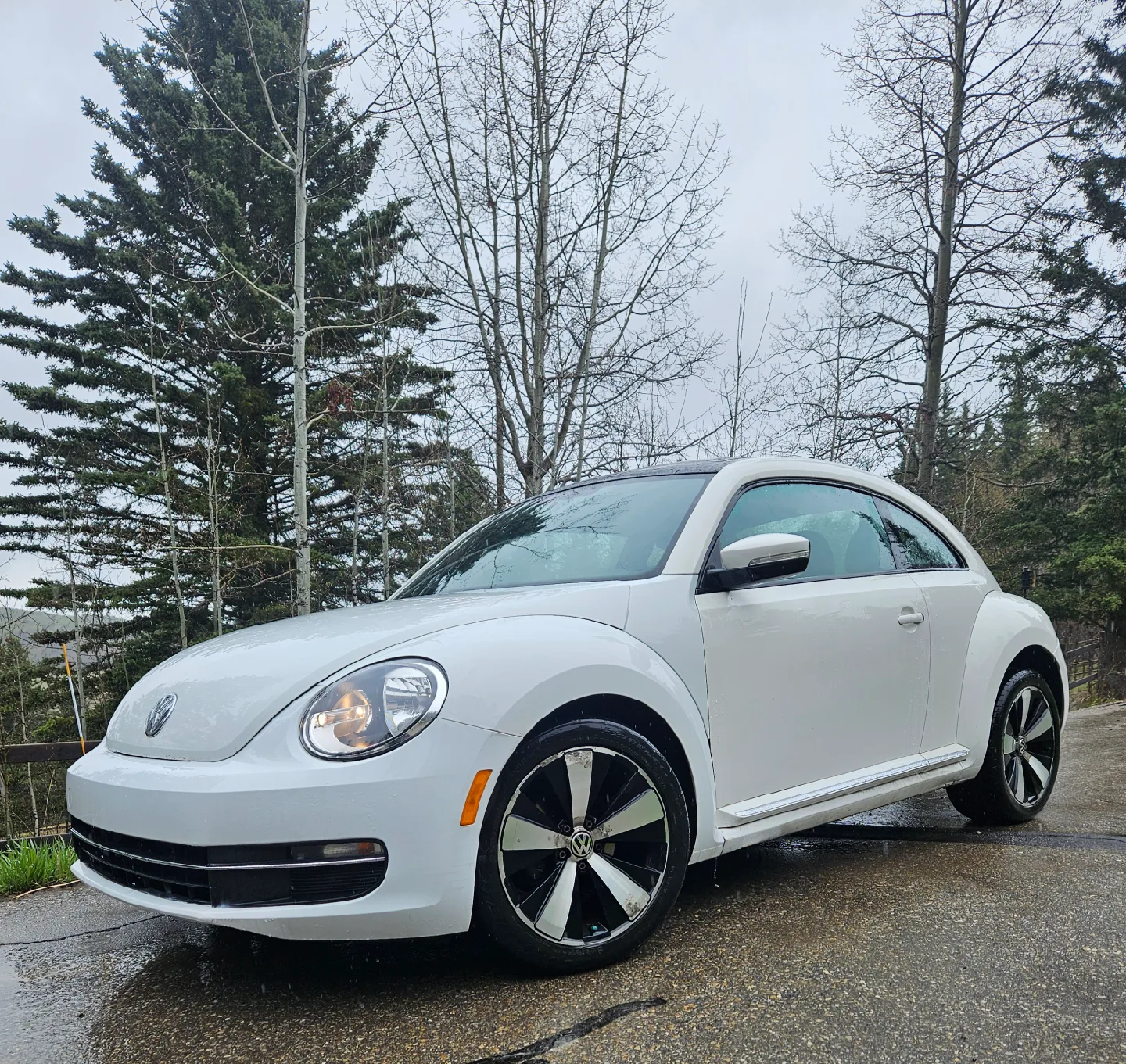 Volkswagen Beetle image indicator(2)