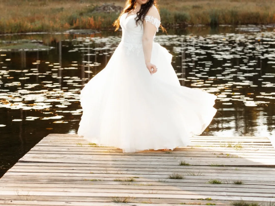 Wedding Dress image indicator(5)