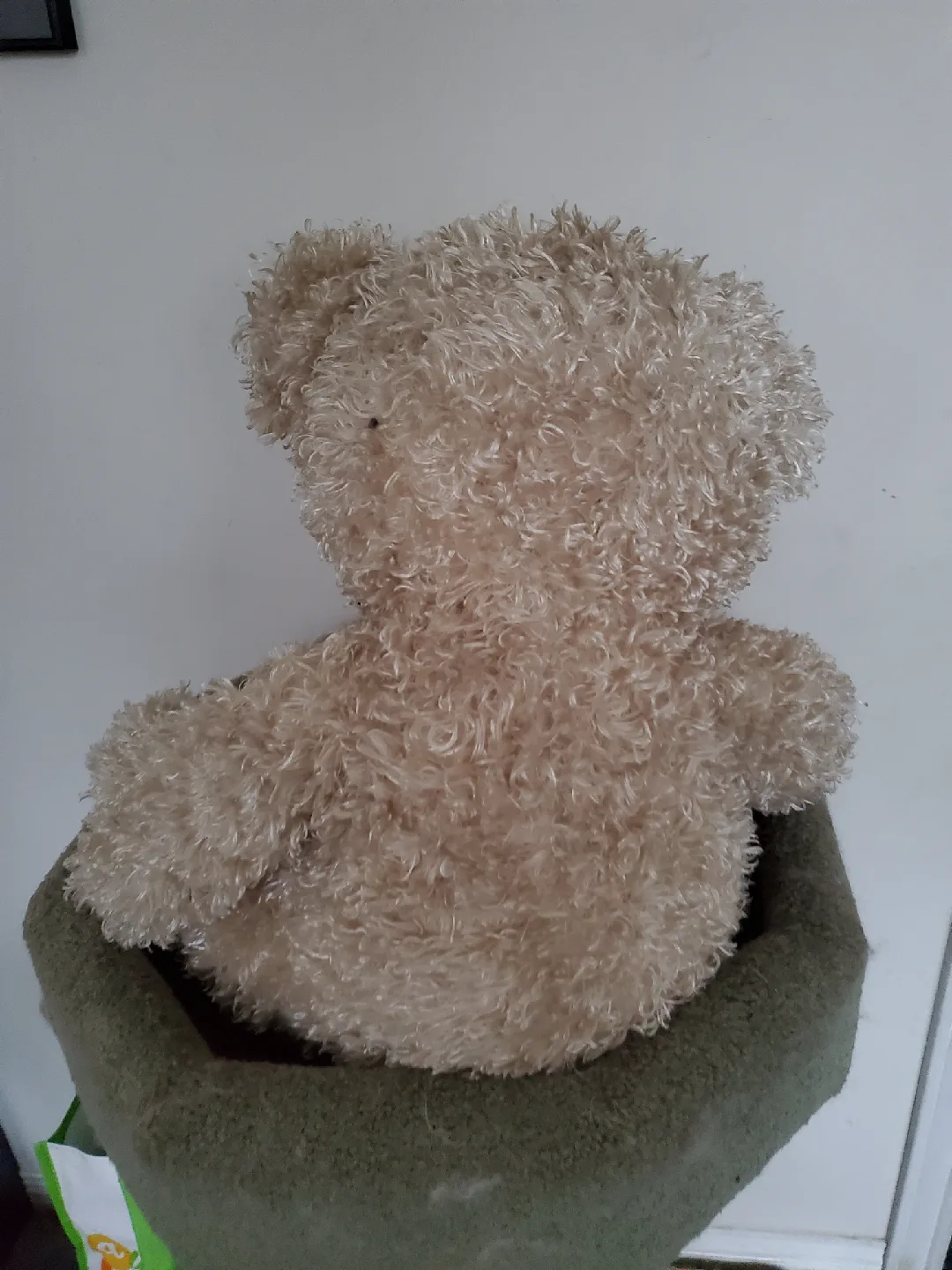 Teddy Bear with Ribbon image indicator(3)