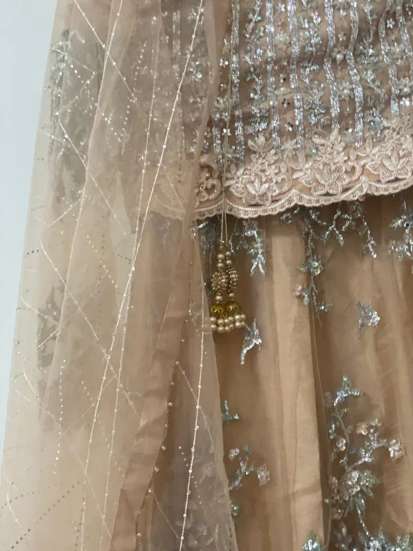 Embroidered Lehenga Choli Set image indicator(2)