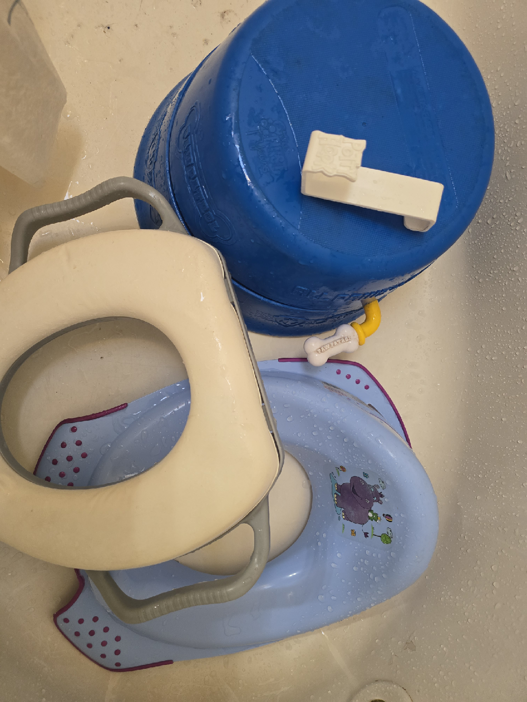 Potty Training Seat Bundle