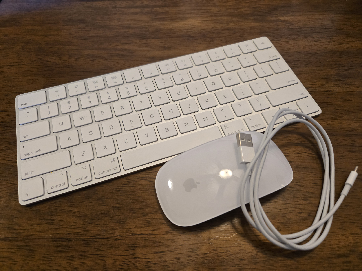 Apple Magic Keyboard & Mouse