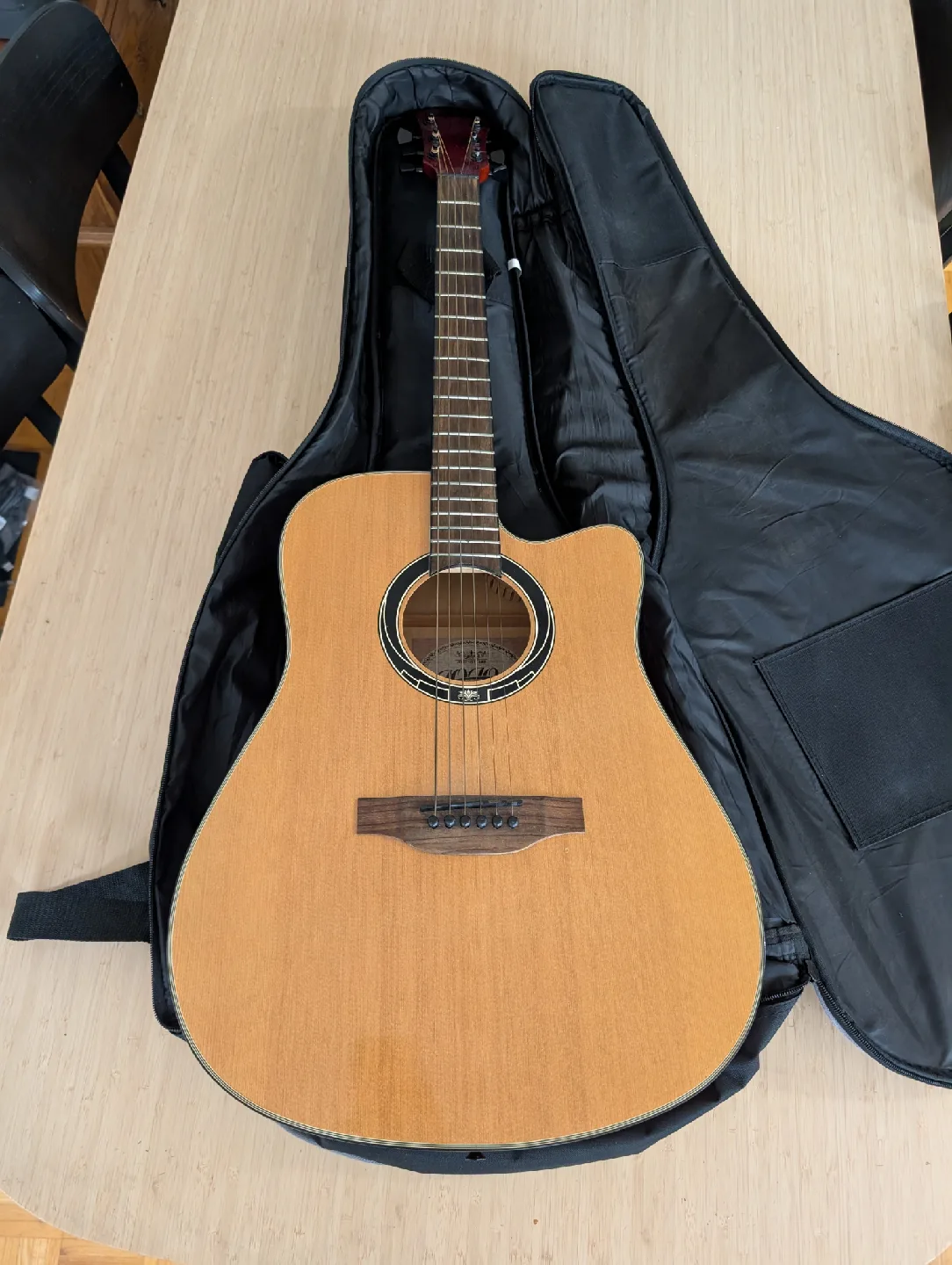 Acoustic Guitar with Case