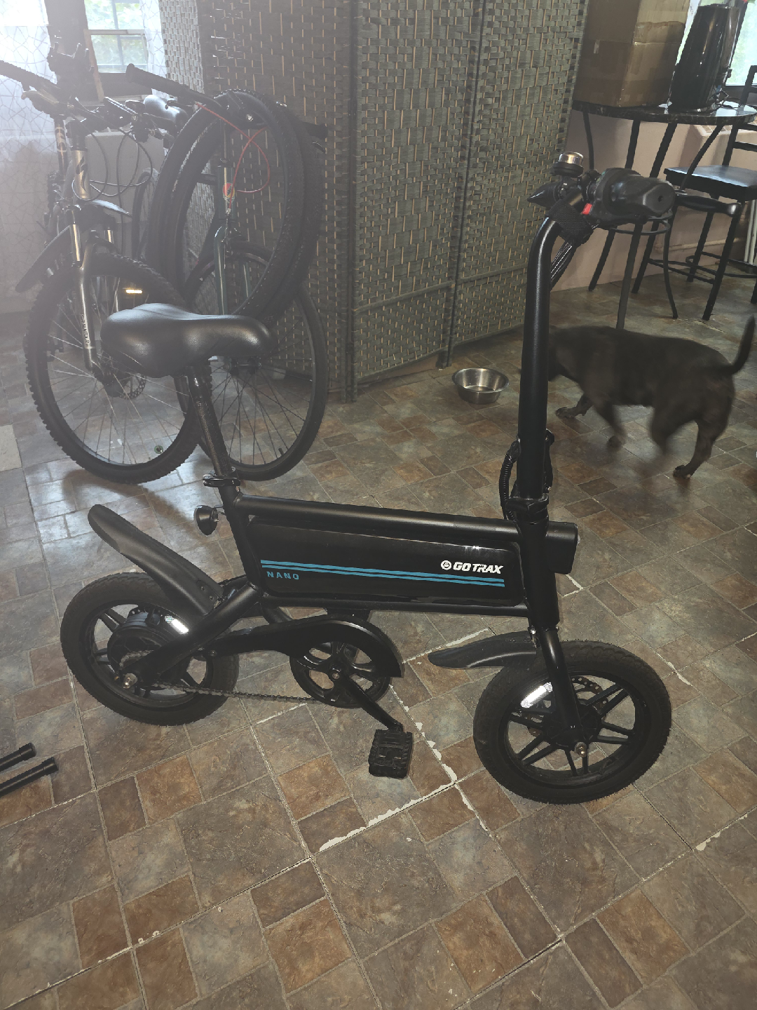 GoTrax Nano Folding Electric Bike