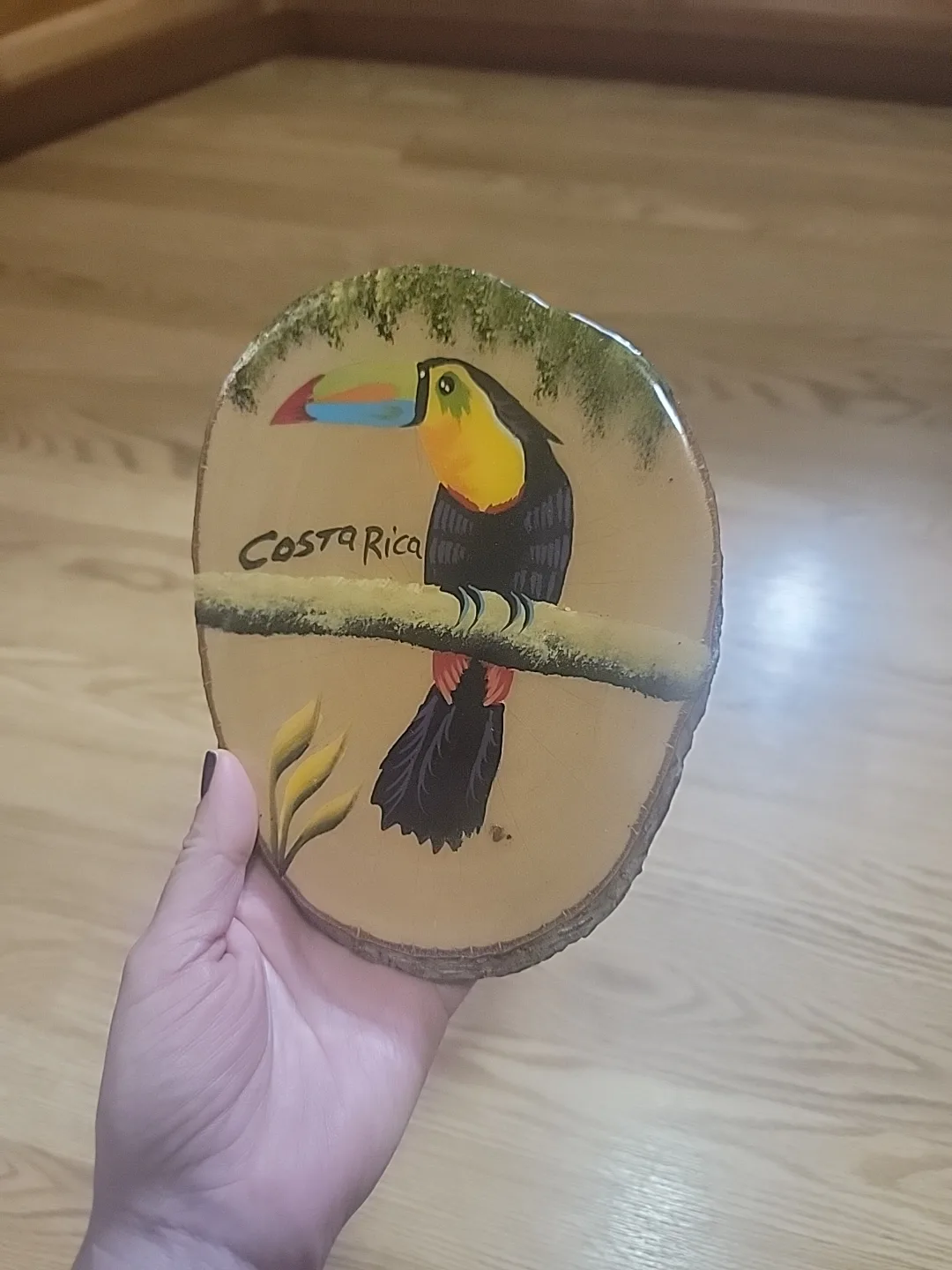 Costa Rica Toucan Wood Slice Art image indicator(6)