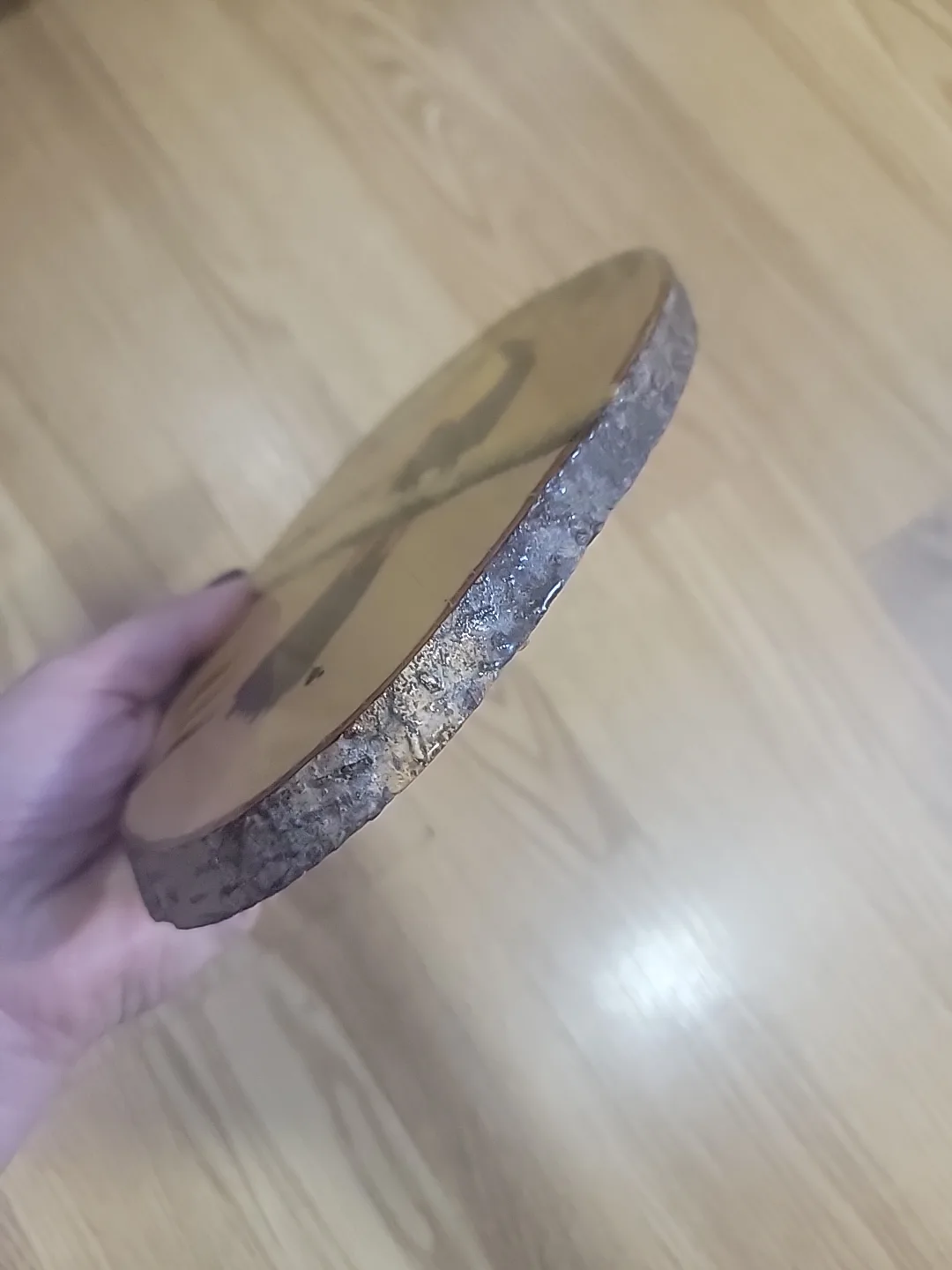 Costa Rica Toucan Wood Slice Art image indicator(10)