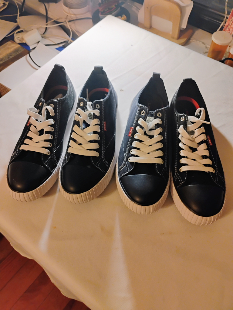 Levi's Black Canvas Sneakers