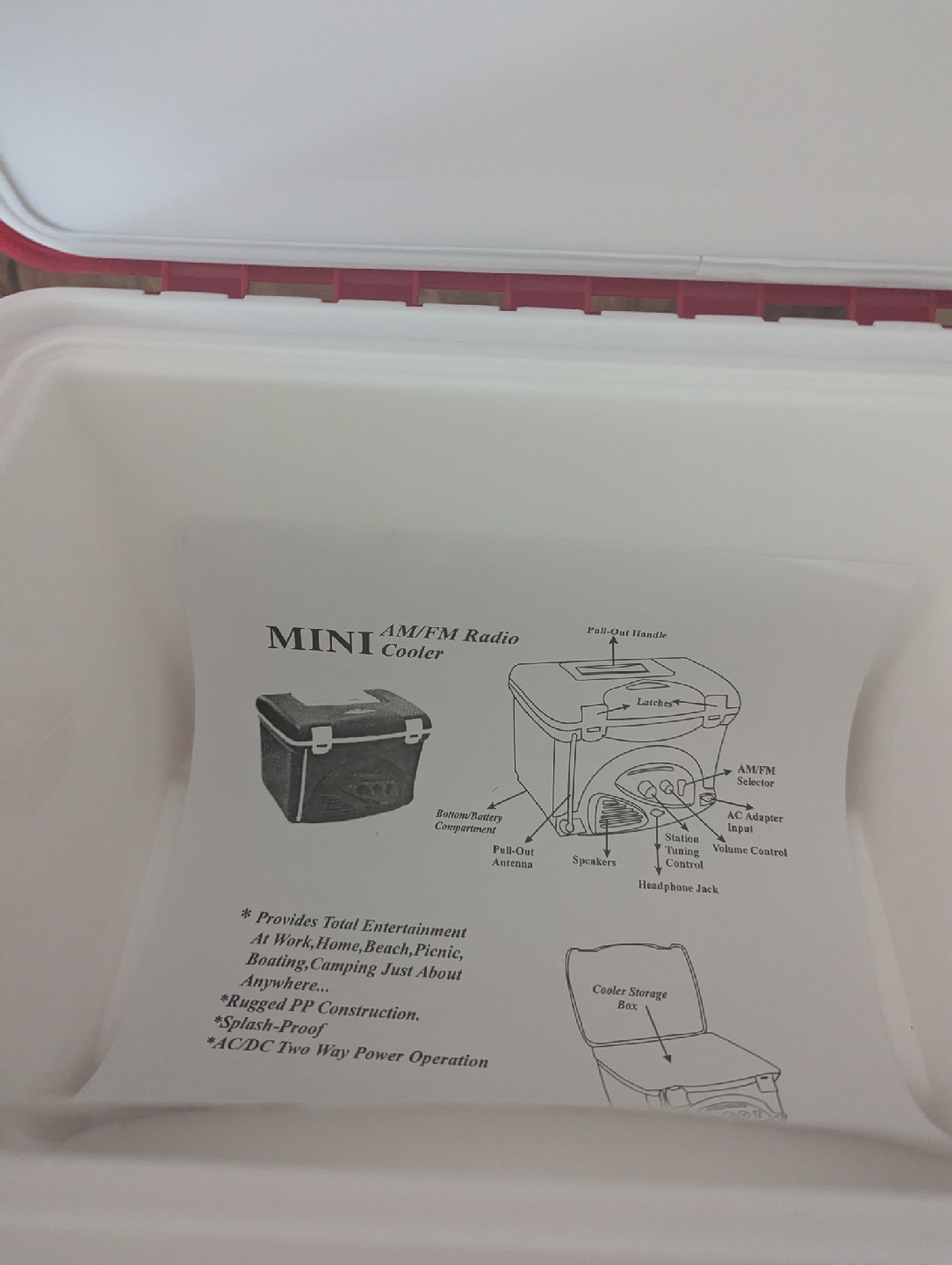 Mini AM/FM Radio Cooler