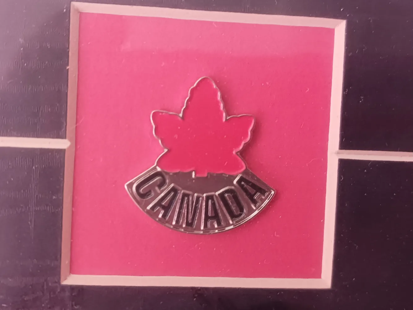 Framed 2002 Olympic Hockey Team Photo image indicator(3)