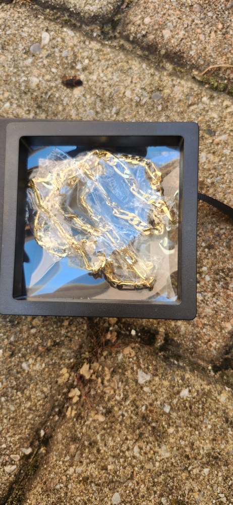 Gold Chain Necklace with Box