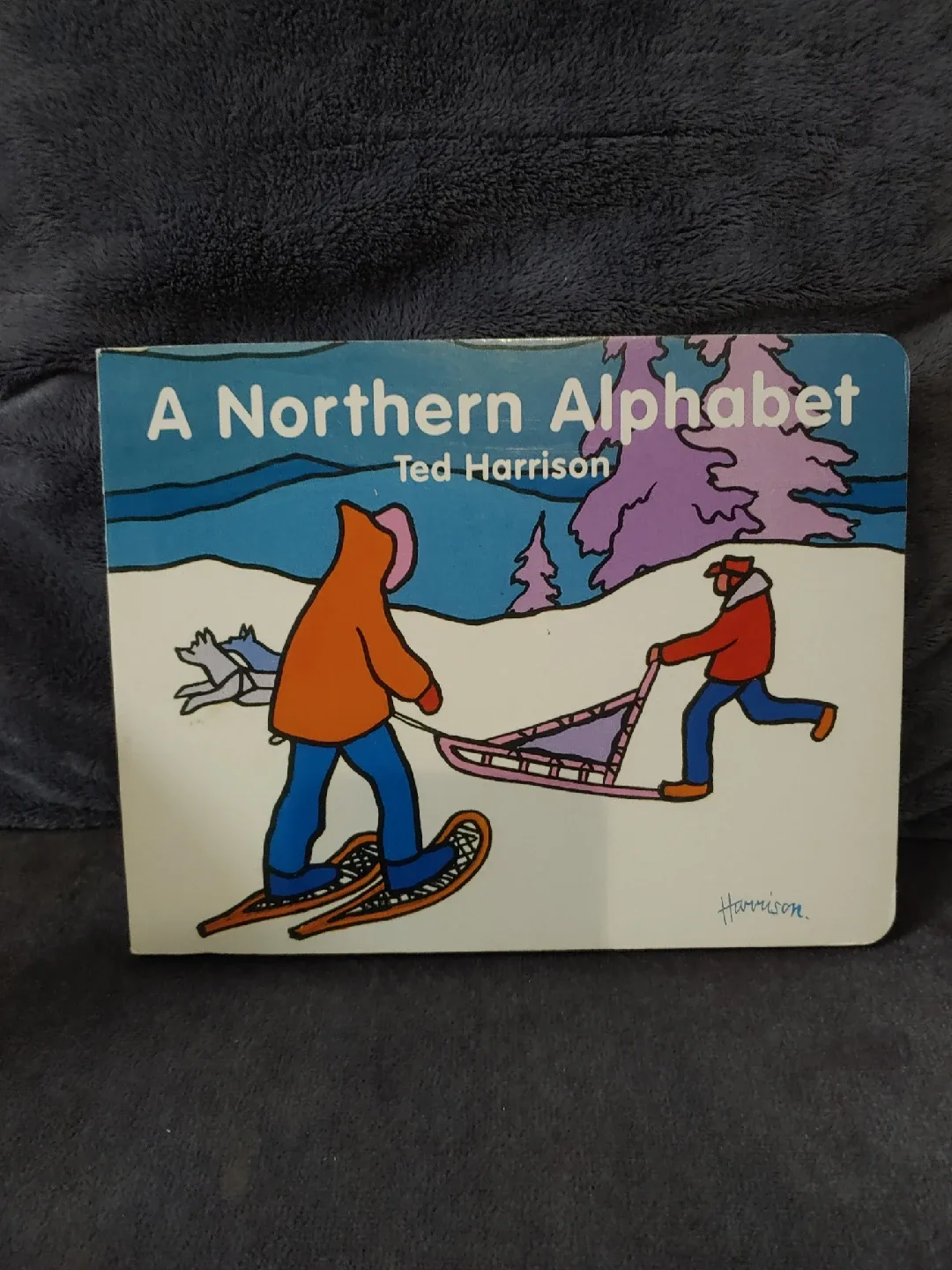 A Northern Alphabet by Ted Harrison thumbnail