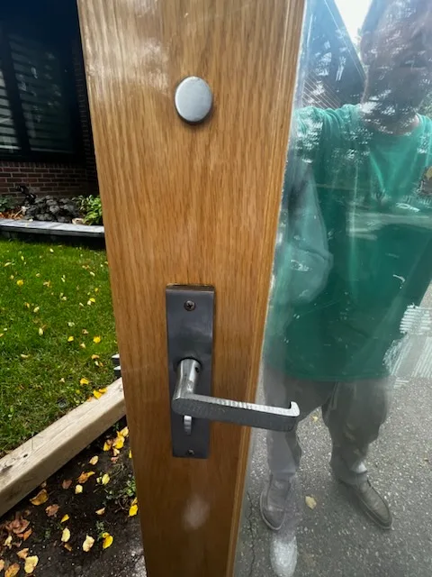 Wood and Glass Exterior Door image indicator(4)