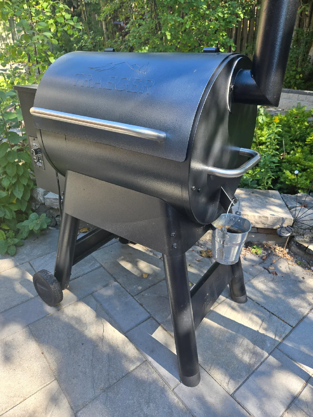 Traeger Pro 22 Electric Wood Pellet Grill & Smoker