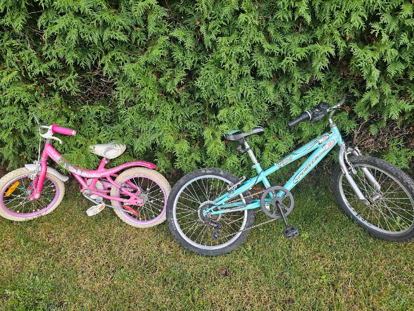 bikes 16"-20" image indicator(9)