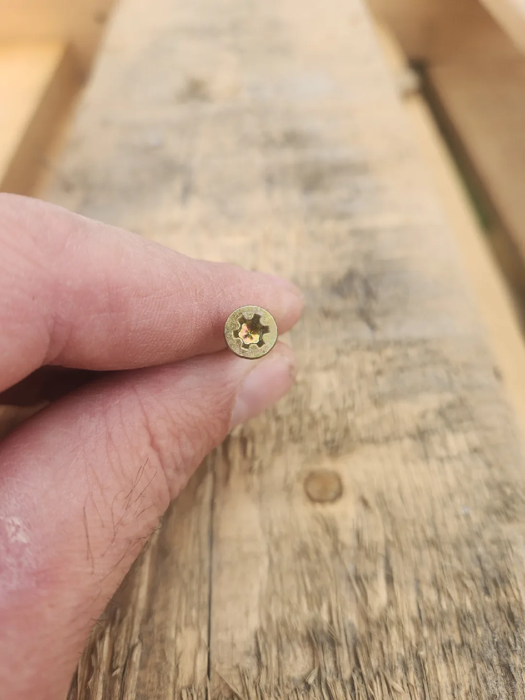 Bucket of Screws 🥕 image indicator(2)