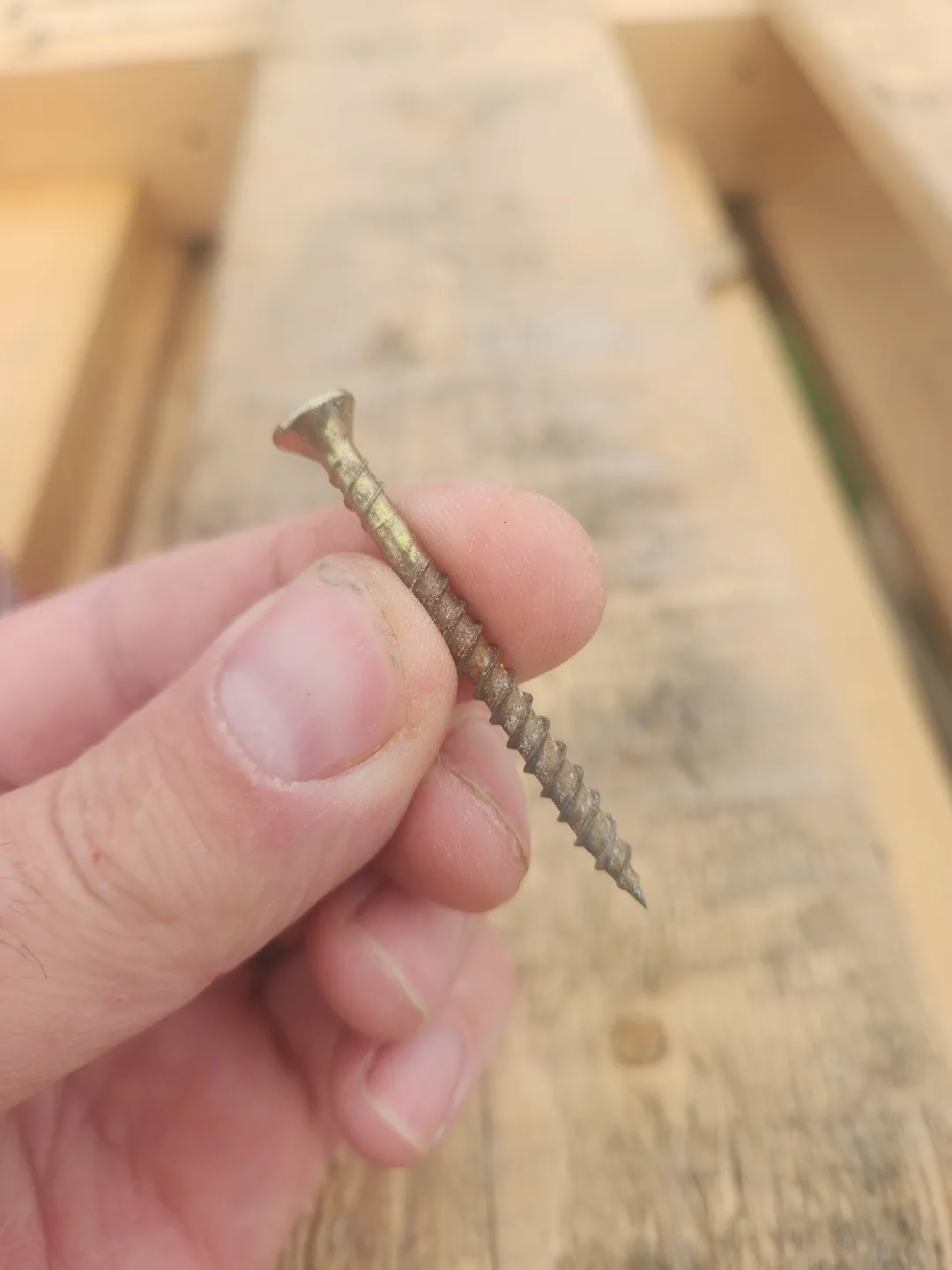 Bucket of Screws 🥕 image indicator(3)