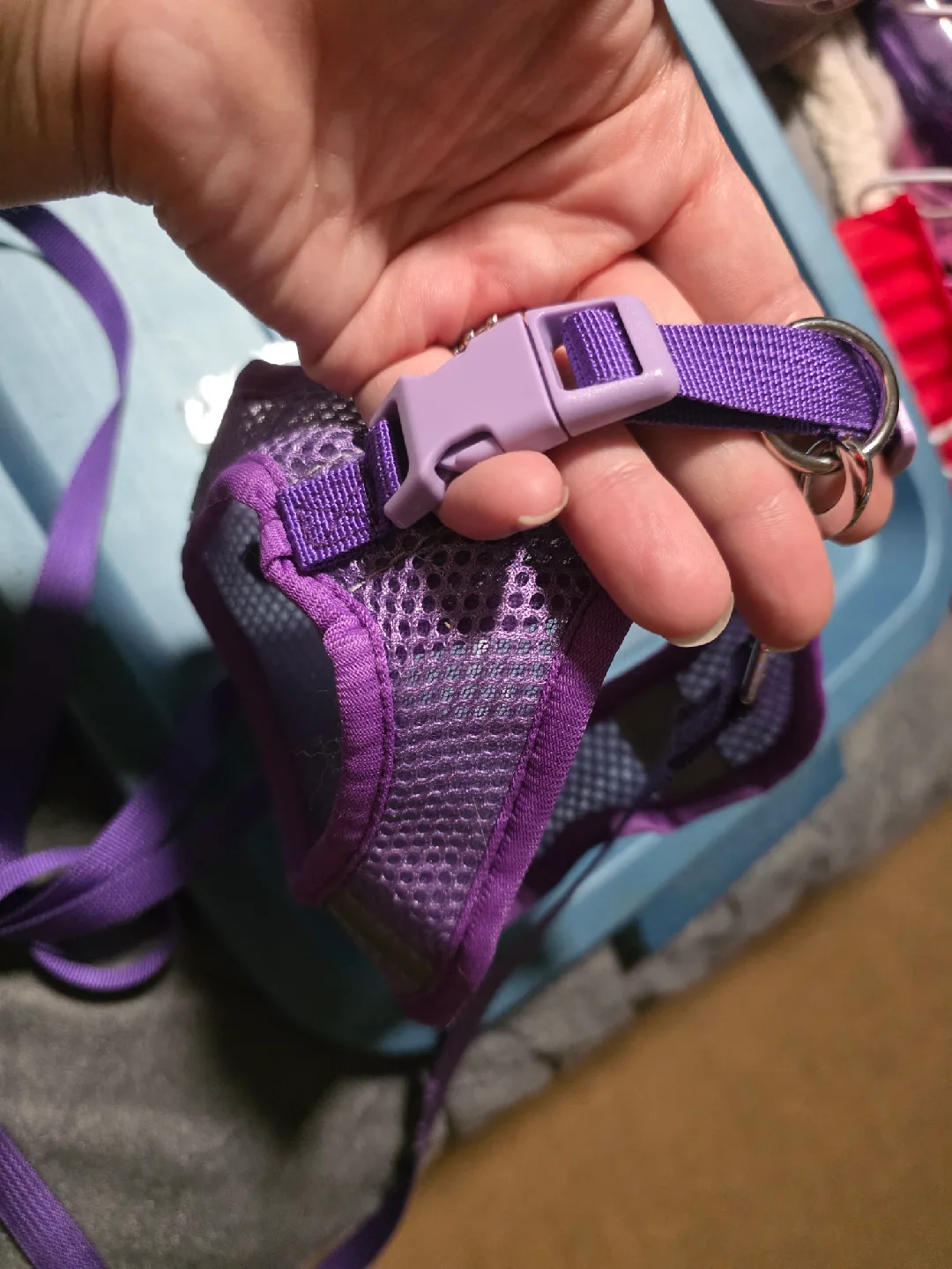 Purple Harness with Leash, Size S image indicator(2)