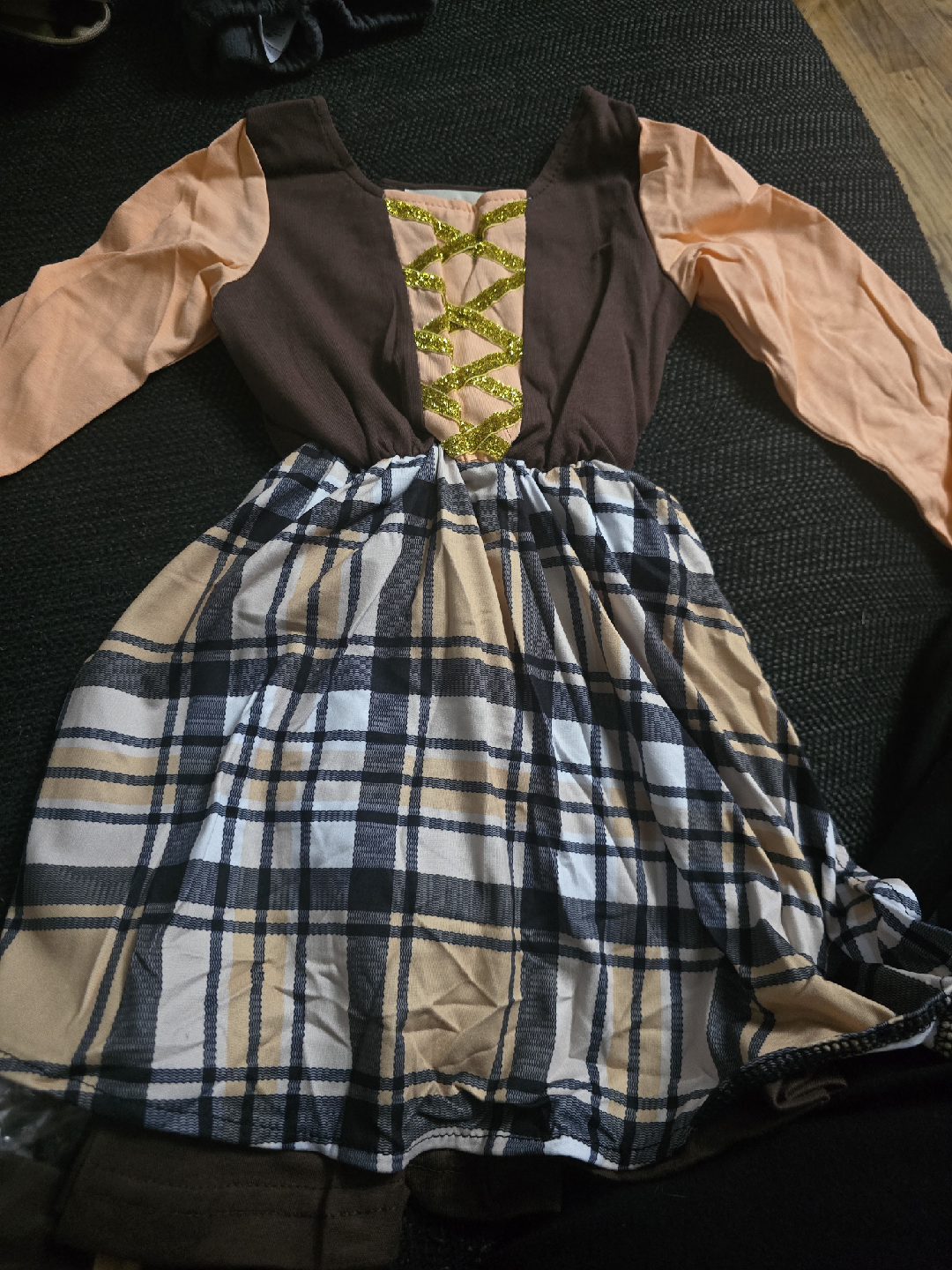 Hocus Pocus Mary Sanderson Dress Costume