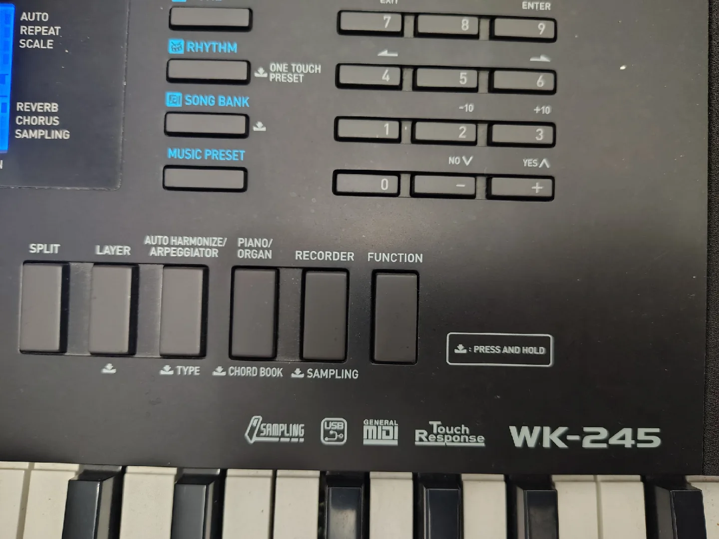 Casio WK-245 Keyboard w/bench image indicator(3)
